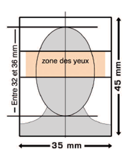 taille photo